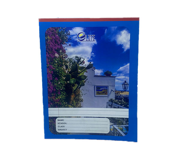 60 LEAVES PLAIN LINES