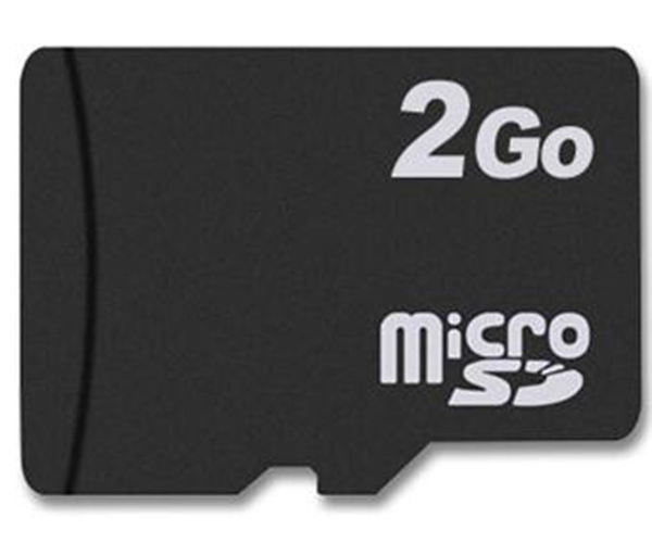CARTE MEMOIRE MICRO SD 2Go