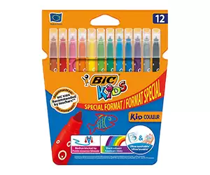 Feutre BIC