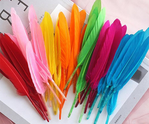 PLUMES DE DECORATIVE