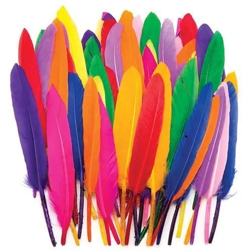 PLUMES MULTICOLOR