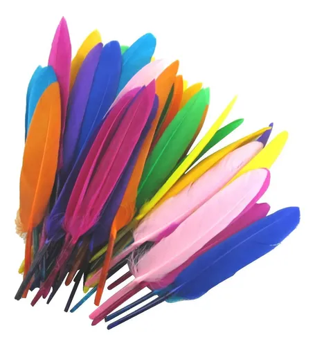 PLUMES MULTICOLOR