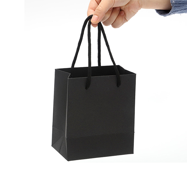 Shopping bag de luxe H 27X25X10.5 Noir